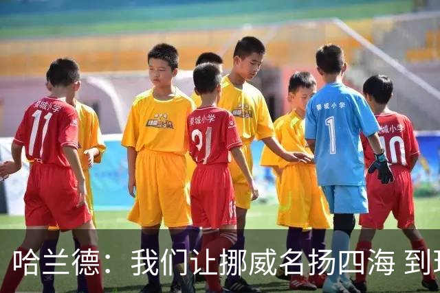 哈兰德：我们让挪威名扬四海 到现在依然觉得如梦似幻