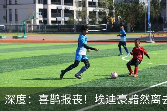 深度：喜鹊报丧！埃迪豪黯然离去 大病纽卡一地鸡毛